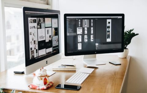 pexels-tranmautritam-326503